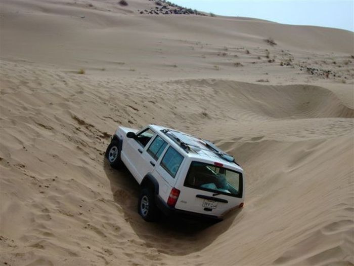 We Are Stuck (18 pics)