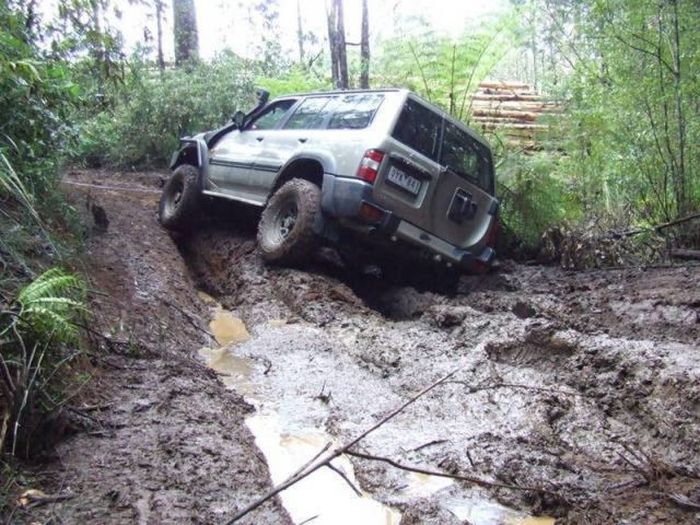 We Are Stuck (18 pics)