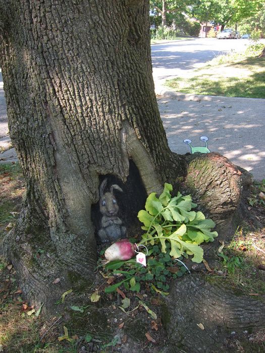 Sluggo of Ann Arbor (30 pics)