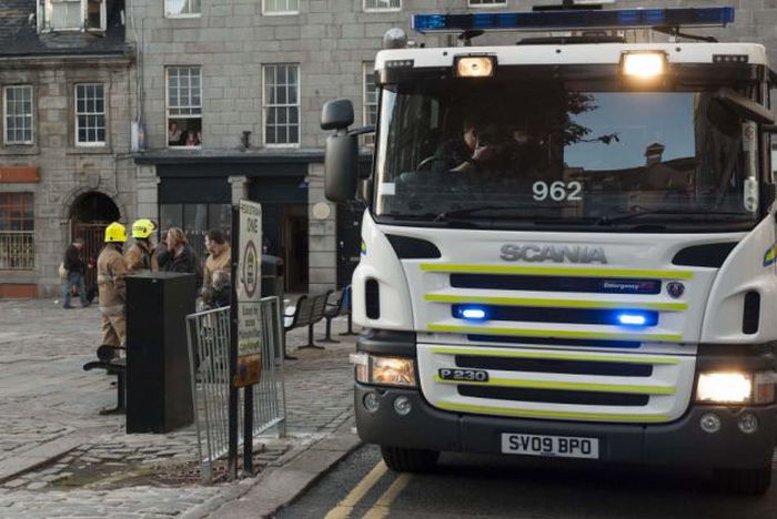Poor Fellow Got His Head Stuck in a Bin (5 pics)