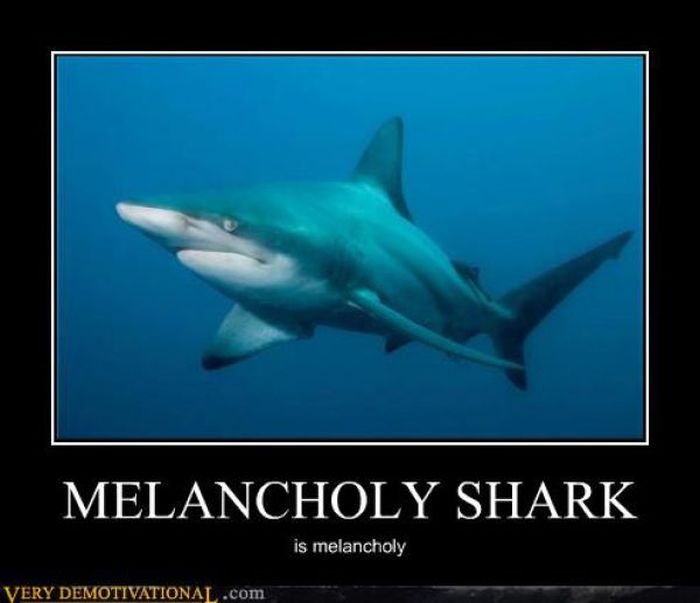 Funny Demotivational Posters (33 pics)