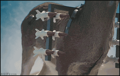 Acid Gifdump (20 gifs)