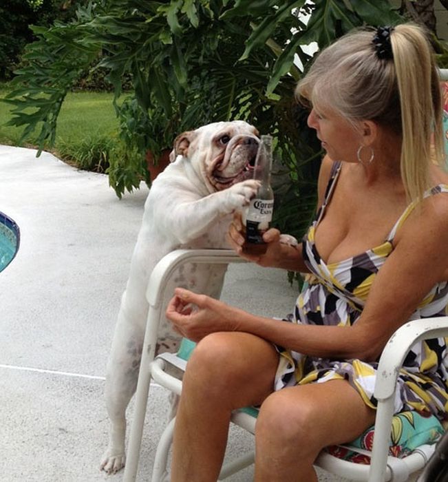Our Best Friends (48 pics)