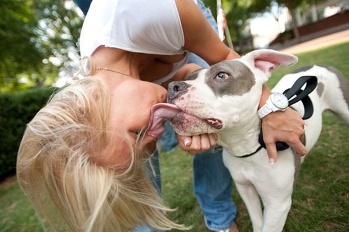 Our Best Friends (48 pics)