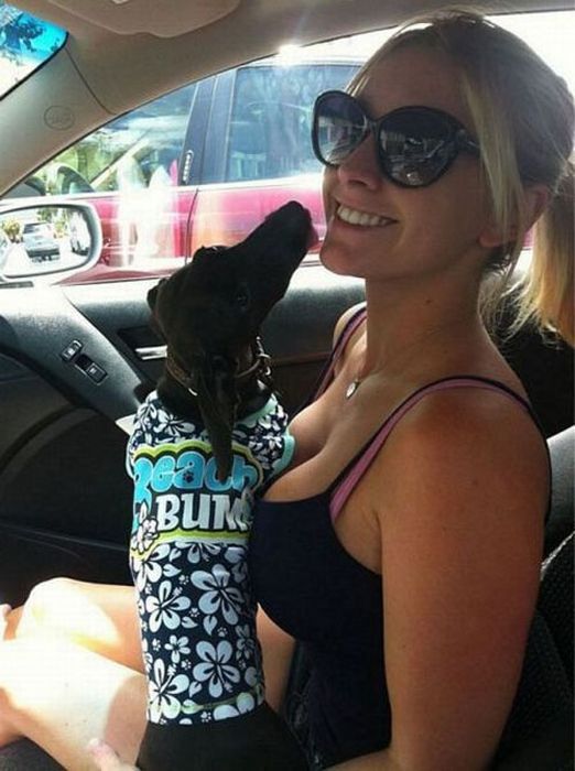 Our Best Friends (48 pics)
