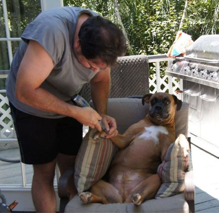 Our Best Friends (48 pics)