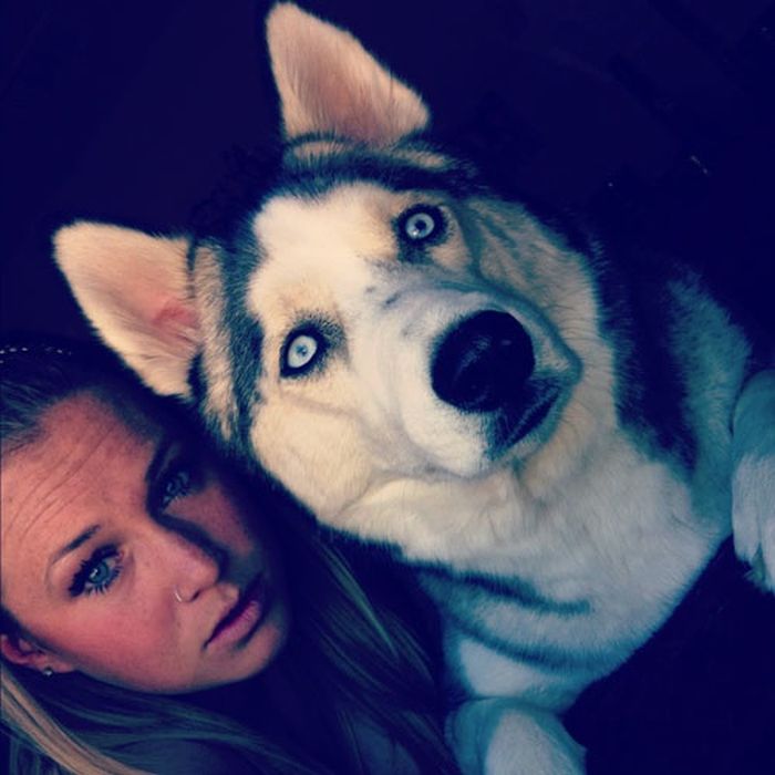 Our Best Friends (48 pics)