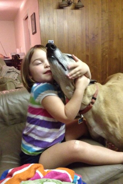 Our Best Friends (48 pics)