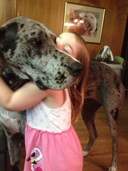 Our Best Friends (48 pics)