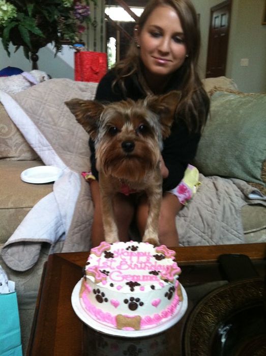 Our Best Friends (48 pics)