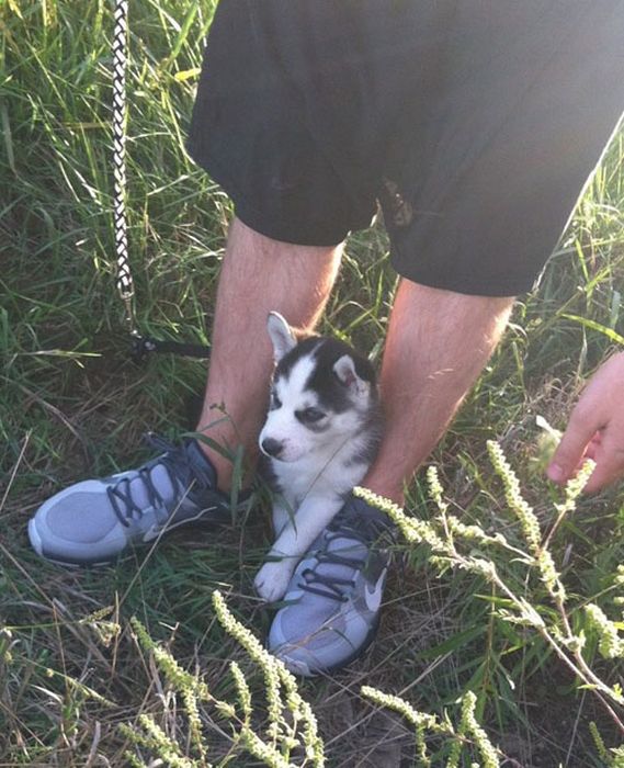 Our Best Friends (48 pics)