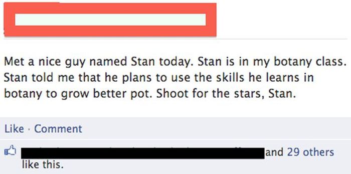 Funny Facebook Status Updates (16 pics)