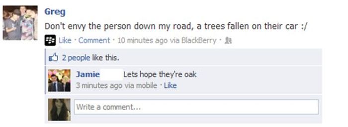 Funny Facebook Status Updates (16 pics)