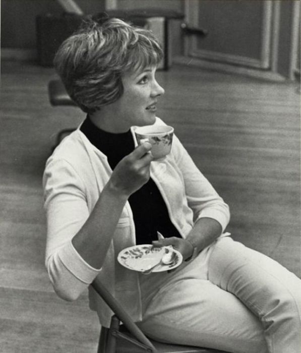 Julie Andrews (77 pics)