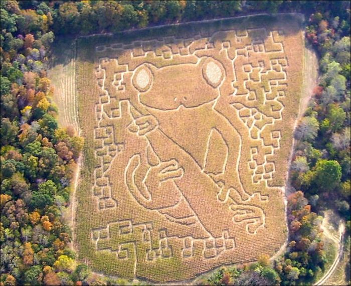 Awesome Corn Crop Maze Art (37 pics)