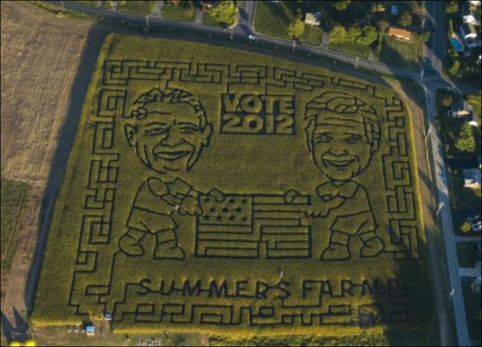 Awesome Corn Crop Maze Art (37 pics)