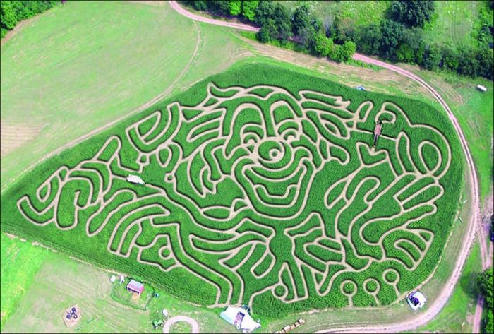 Awesome Corn Crop Maze Art (37 pics)