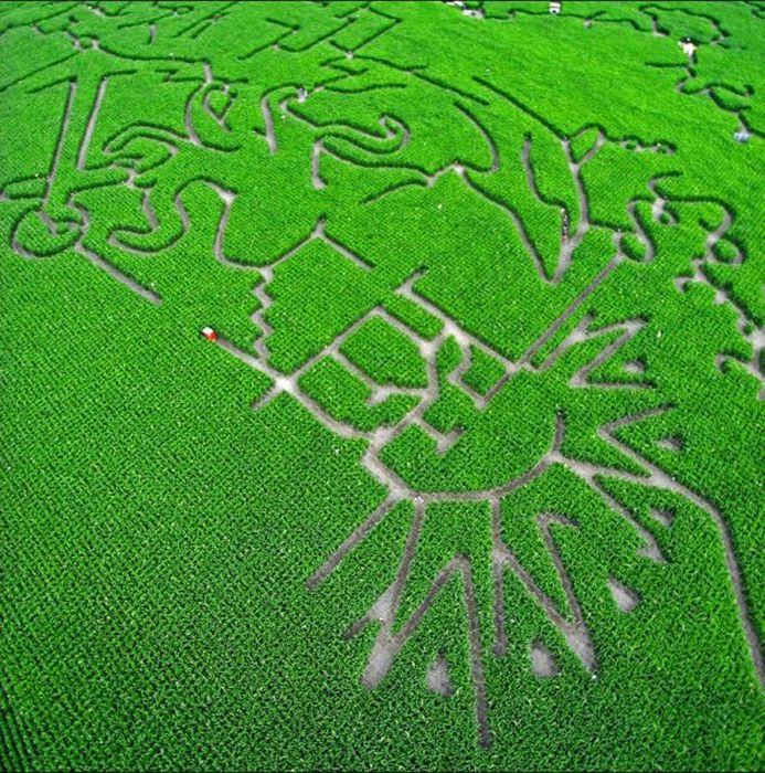 Awesome Corn Crop Maze Art (37 pics)