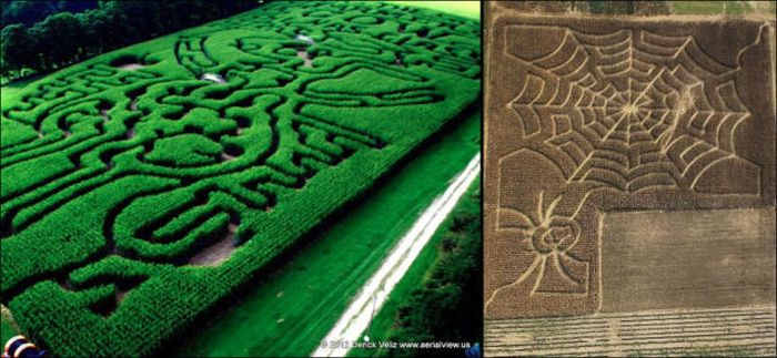 Awesome Corn Crop Maze Art (37 pics)