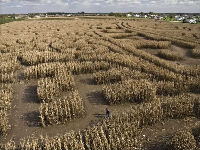 Awesome Corn Crop Maze Art (37 pics)