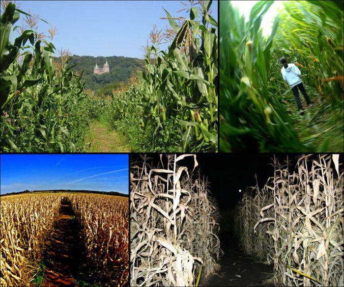 Awesome Corn Crop Maze Art (37 pics)