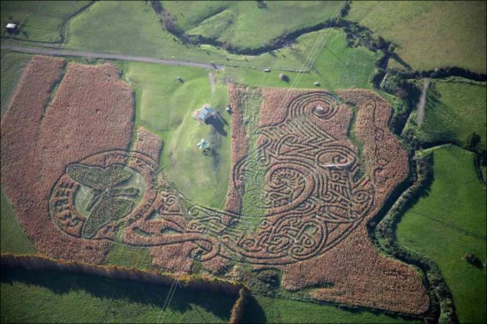 Awesome Corn Crop Maze Art (37 pics)