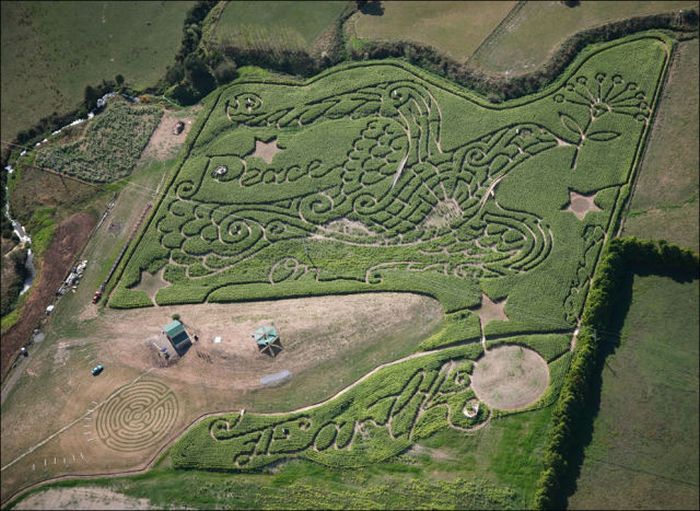 Awesome Corn Crop Maze Art (37 pics)