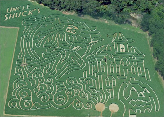 Awesome Corn Crop Maze Art (37 pics)