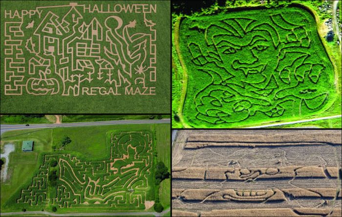 Awesome Corn Crop Maze Art (37 pics)