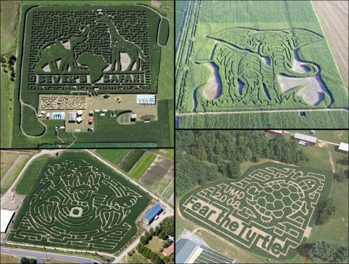 Awesome Corn Crop Maze Art (37 pics)