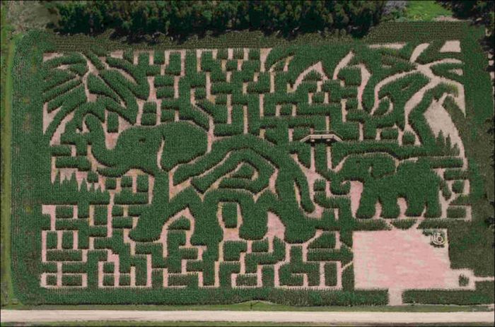 Awesome Corn Crop Maze Art (37 pics)