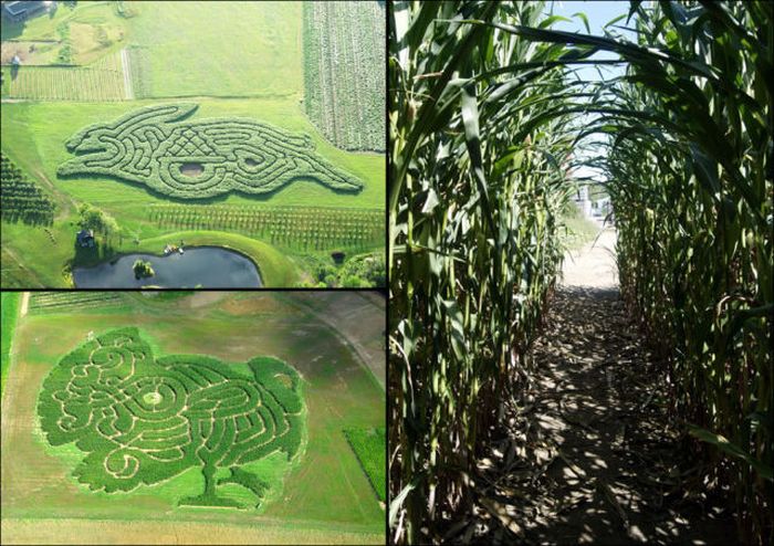 Awesome Corn Crop Maze Art (37 pics)