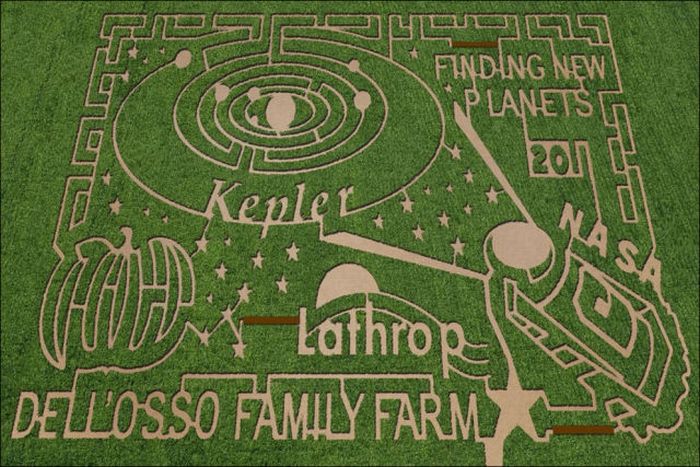 Awesome Corn Crop Maze Art (37 pics)