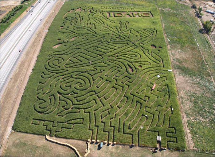 Awesome Corn Crop Maze Art (37 pics)