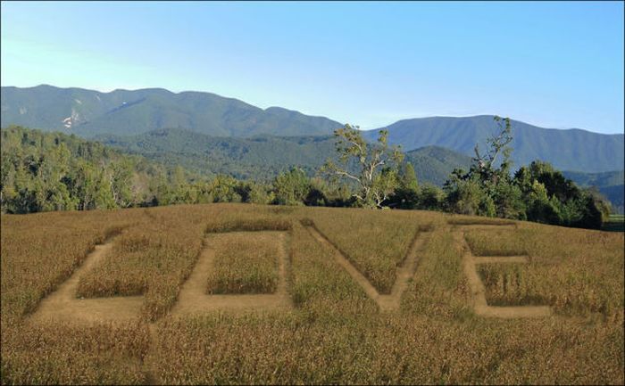 Awesome Corn Crop Maze Art (37 pics)