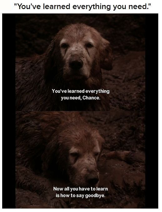 Moments From Your Childhood That Made You Cry (27 pics)