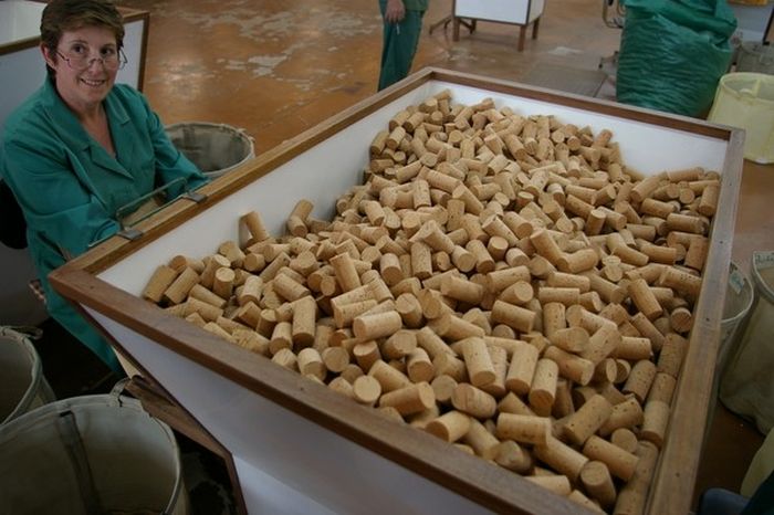 Production of Corks (23 pics)