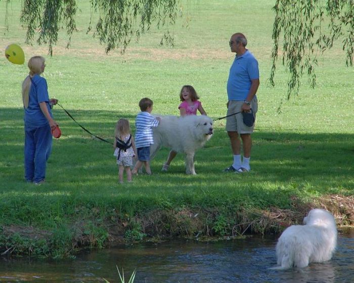 Kids on Leashes (35 pics)