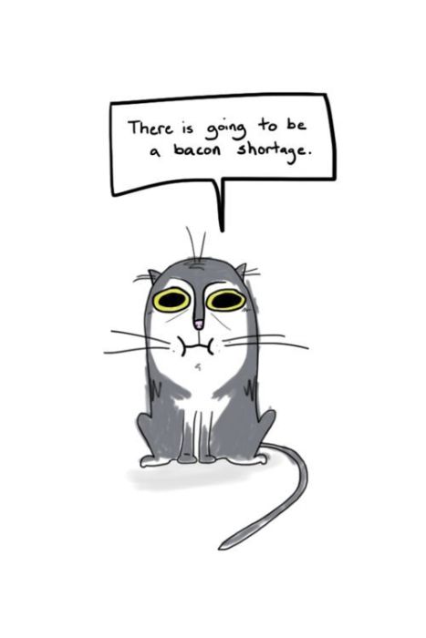 Hard Truths from Soft Cats (12 pics)