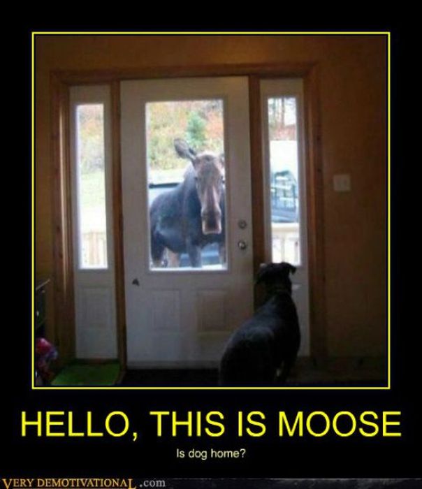 Funny Demotivational Posters (34 pics)