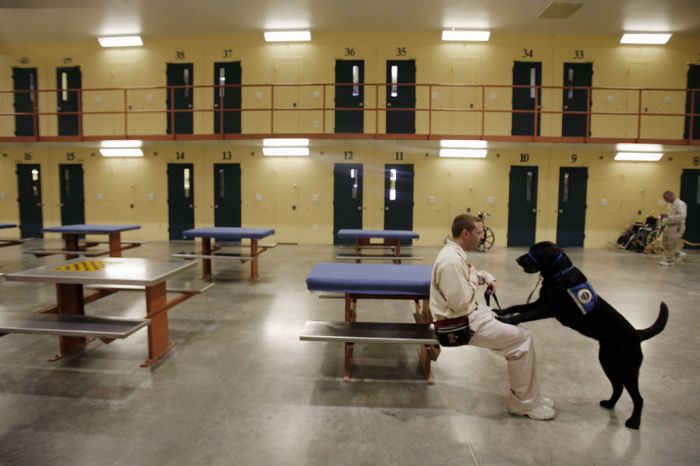 Life in Prison (47 pics)