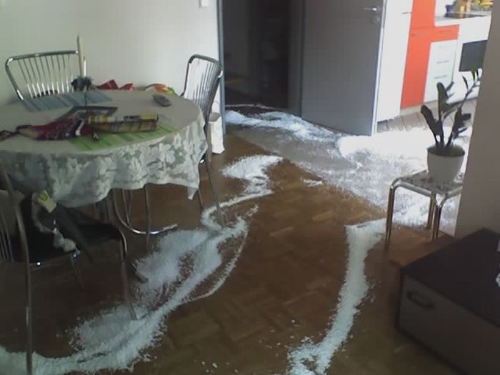 The Bean Bag Massacre (5 pics)