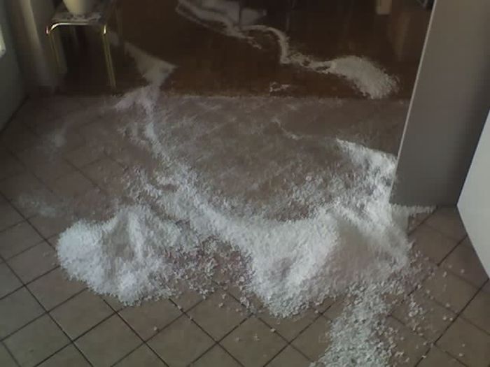 The Bean Bag Massacre (5 pics)