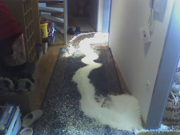 The Bean Bag Massacre (5 pics)