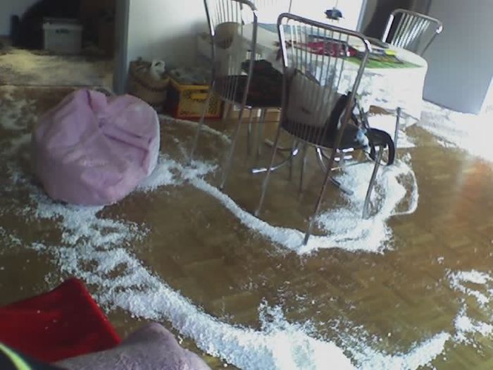 The Bean Bag Massacre (5 pics)
