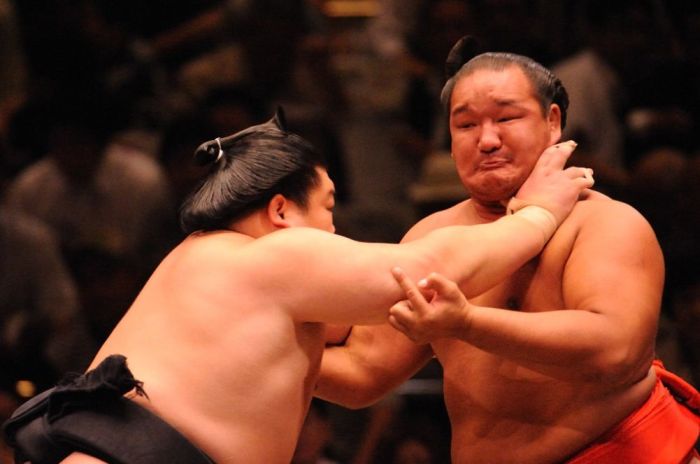 are sumo wrestlers healthy