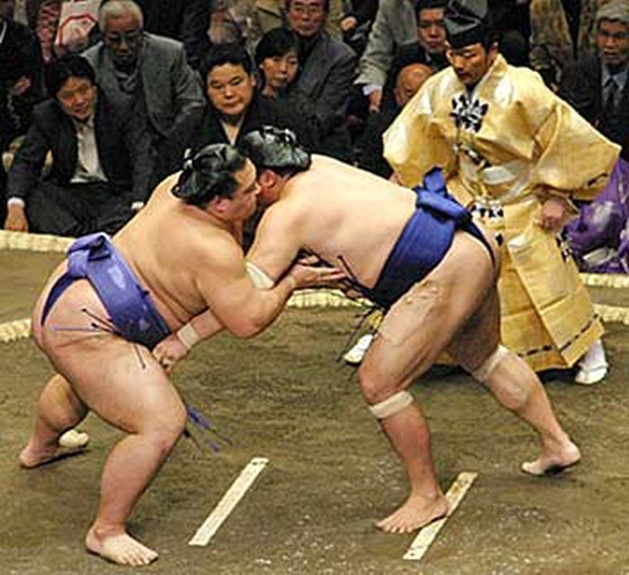 Sumo Wrestlers (41 pics)