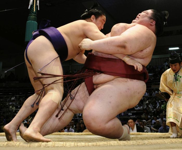 Sumo Wrestlers (41 pics) .