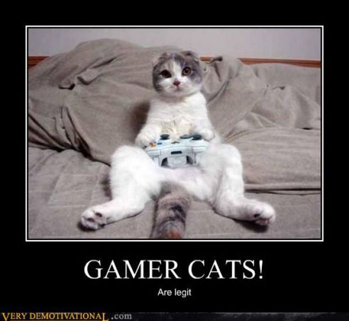 Funny Demotivational Posters (32 pics)