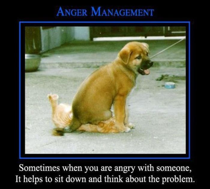 Funny Demotivational Posters (32 pics)